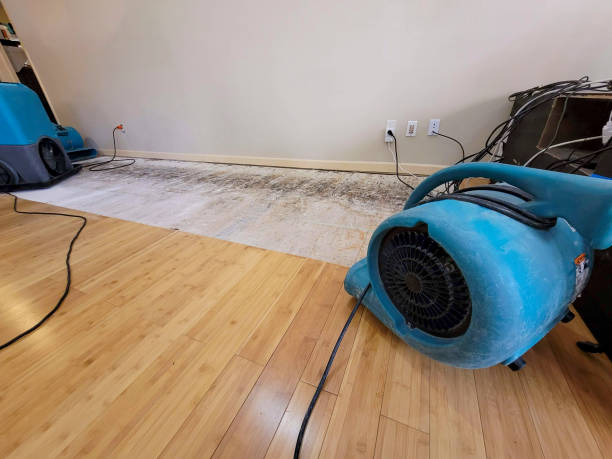 Professional Flood Damage Cleanup technician working in Oneida, NY
